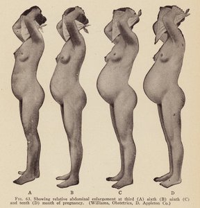 Anzeichen und Symptome der Schwangerschaft von American Photographer