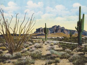 Superstition Mountain und Wüste, "Apache Trail" von American Photographer