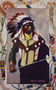 Swift Arrow von American Photographer