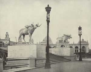 Die Elchbrücke von American Photographer