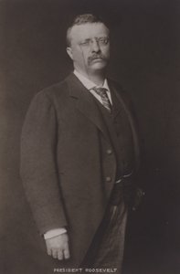 Theodore Roosevelt, 26. Präsident der Vereinigten Staaten, 1904 von American Photographer
