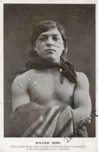 Willow Bird - Moki-Indianer Schlangentänzer aus der gemalten Wüste Amerikas von American Photographer