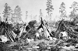 Yosemite Indianerhütten, ca. 1870er von American Photographer