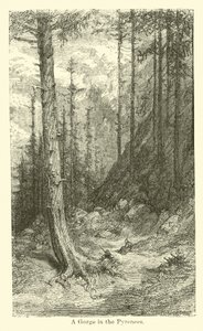Eine Schlucht in den Pyrenäen