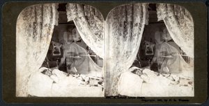 Ein einsames kleines Herz, 1901 (Stereograph)
