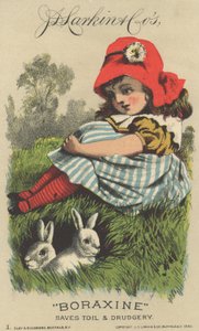 Werbung für J. D. Larkin & Cos Boraxine, 1882