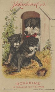 Werbung für J. D. Larkin & Cos Boraxine, 1882