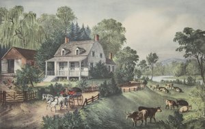 Amerikanisches Heim - Sommer