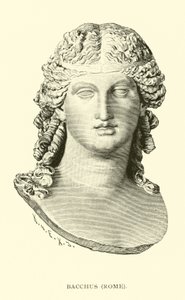 Bacchus, Rom von American School