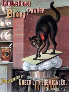 Schwarze Katze, die von aufgehendem Brotteig geweckt wird, ca. 1885 von American School