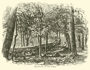 Schanzwerk im Wald, Juli 1863 von American School