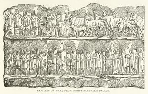 Kriegsgefangene; aus dem Palast von Assur-bani-pal von American School