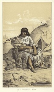 Chippeway-Witwe von American School