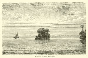 Mündungen des Amazonas von American School
