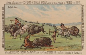 Indianer jagen Büffel