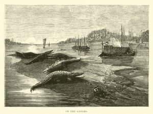 Am Ganges