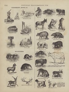 Seite aus Websters vollständigem Wörterbuch (George Bell) von American School