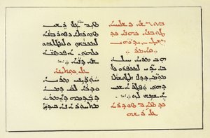 Seite aus einer syrischen Bibel von American School