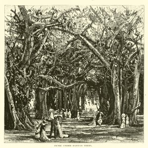 Picknick unter Banyanbäumen von American School