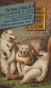Eisbären trinken und rauchen