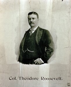 Porträt von Oberst Theodore Roosevelt von American School