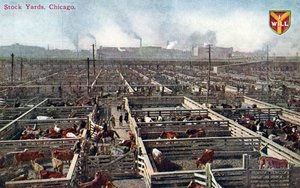 Postkarte, die die Viehhöfe und Schlachthöfe in Chicago zeigt, um 1910 von American School