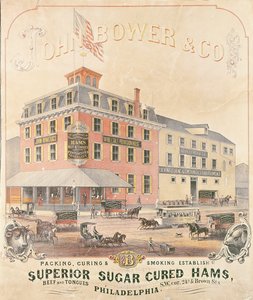 Plakat, das John Bower & Co. Superior Sugar Cured Hams bewirbt
