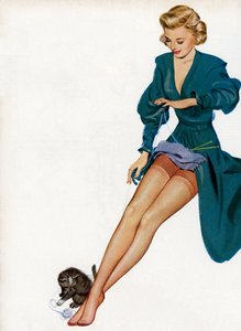 Sexy Frau zeigt ihre Nylons