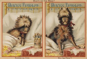 Kranker Hund im Bett von American School