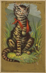 Schmunzelnde Katze mit Verletzungen