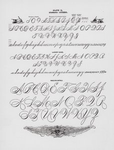 Standardbuchstaben; Damenhand; Ganze Armkapitalien