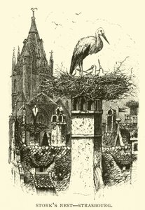 Storchennest, Straßburg von American School