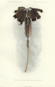 Schwert von Thlewekwe (Schwertschlucker-Bruderschaft) von American School