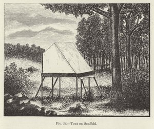 Zelt auf Gerüst von American School