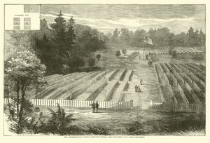 Der Andersonville-Friedhof, wo 14.000 Unionsgefangene begraben wurden, Mai 1865