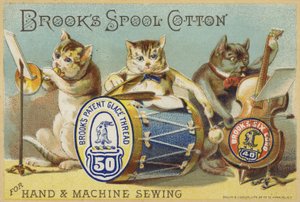Die Katzenband von American School