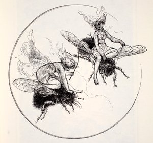 Die Feen, aus Der Weltführer zu Gnomen, Feen, Elfen und anderen kleinen Leuten von Thomas Keightley (1789-1872) veröffentlicht 1880