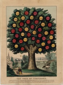 Der Baum der Mäßigkeit