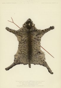 Die Wildkatzenhaut und der gegabelte Stock, auf dem die zwei gefiederten Stämme bei zeremonieller Ruhe platziert werden von American School
