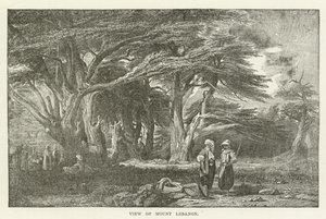Blick auf den Libanon