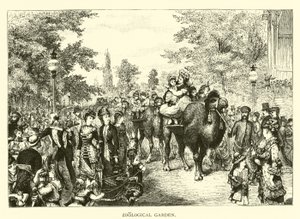 Zoologischer Garten von American School