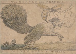 Die Hornisse und der Pfau, oder John Bull in Not