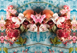 Eve_04, 2016 von Ana Carolina Tavares Mizrahi