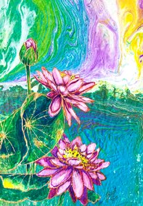 Lebendiger Lotus-Teich