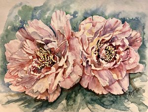 Lebendige rosa Pfingstrosen