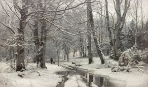 Tauwetter in einem Buchenwald