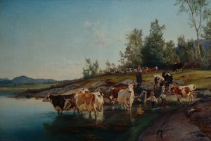 Kühe am Meer