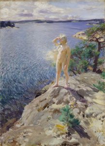 Auf den Felsen, Junge Frau nackt den Horizont betrachtend am Meer von Anders Leonard Zorn