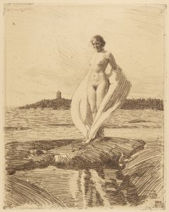 Der Schwan von Anders Leonard Zorn