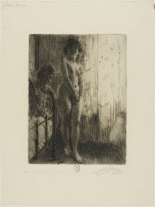 Eine dunkle Ecke von Anders Leonard Zorn